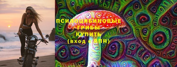 шишки Беломорск