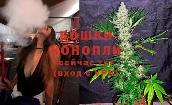 ГАЛЛЮЦИНОГЕННЫЕ ГРИБЫ Баксан