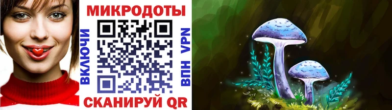 Псилоцибиновые грибы Psilocybe  kraken сайт  Дагестанские Огни  наркошоп 