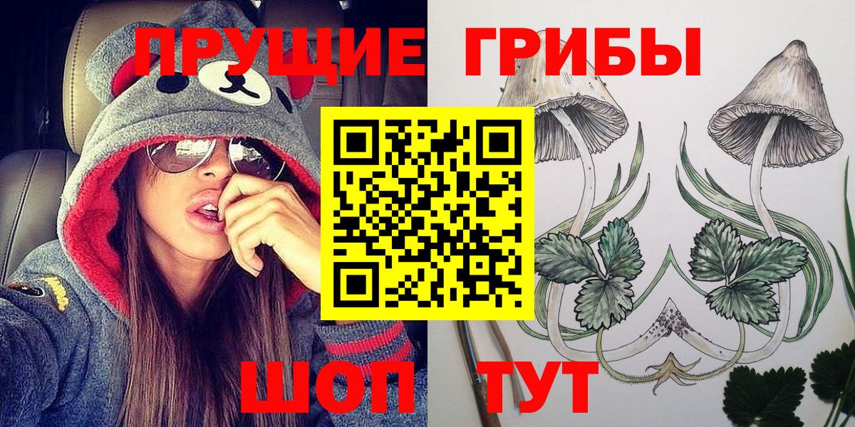 Дагестанские Огни  Галлюциногенные грибы Psilocybine cubensis  Вход с VPN 